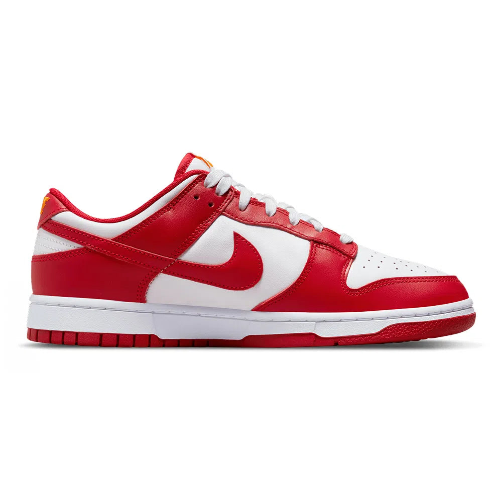 TÊNIS NIKE DUNK LOW RETRO MASCULINO