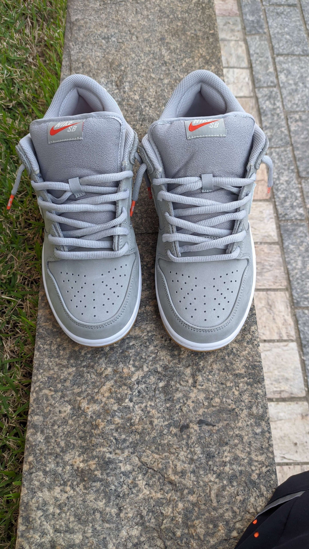 Nike Dunk SB Grey Gum